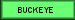 Speciality Ranch Style Plan Buckeye
